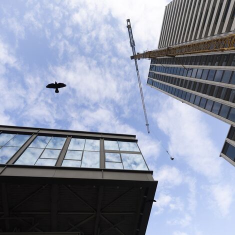 sky veiw of crane and high rise buildings and bird