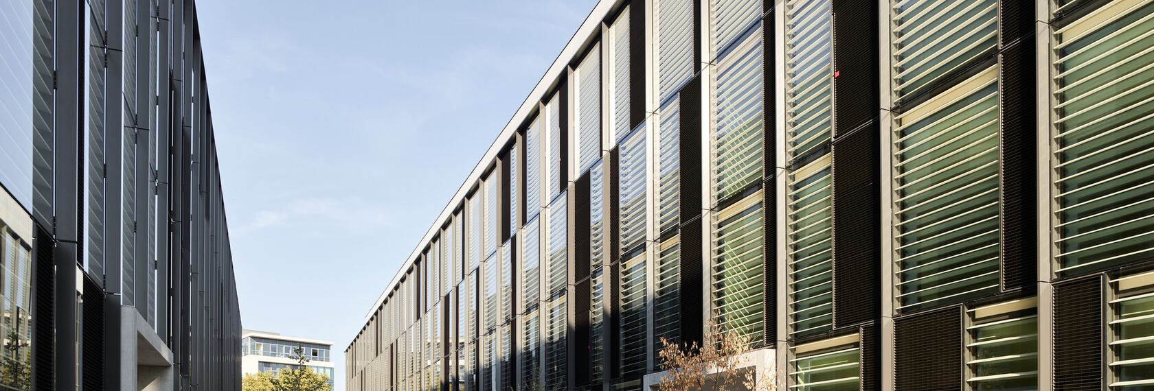 ConceptWall 86 Facciate continue, ThermoSystem 68 Finestre, ConceptWall 50 Facciate continue e TS 68-HV Finestre - Office building Jardins du Lou situato in Lyon, Francia