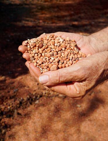 Due mani che tengono il minerale di bauxite in un campo sabbioso.